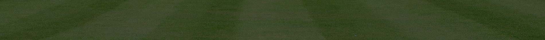 top-banner