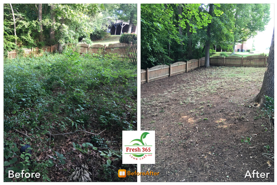 Backyard cleanup before and after service image