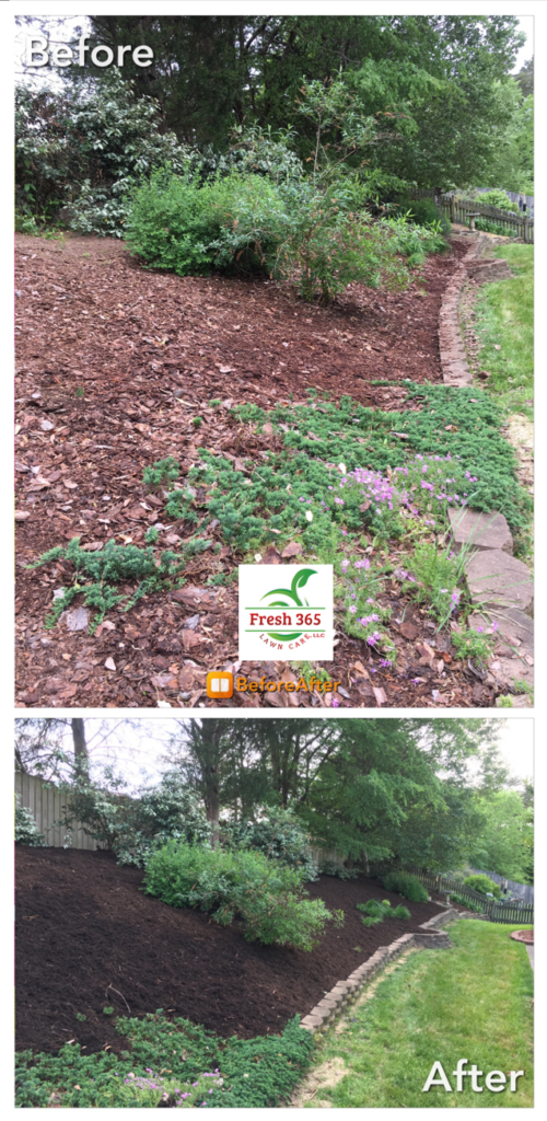 Backyard mulch installation and cleanup before and after service image