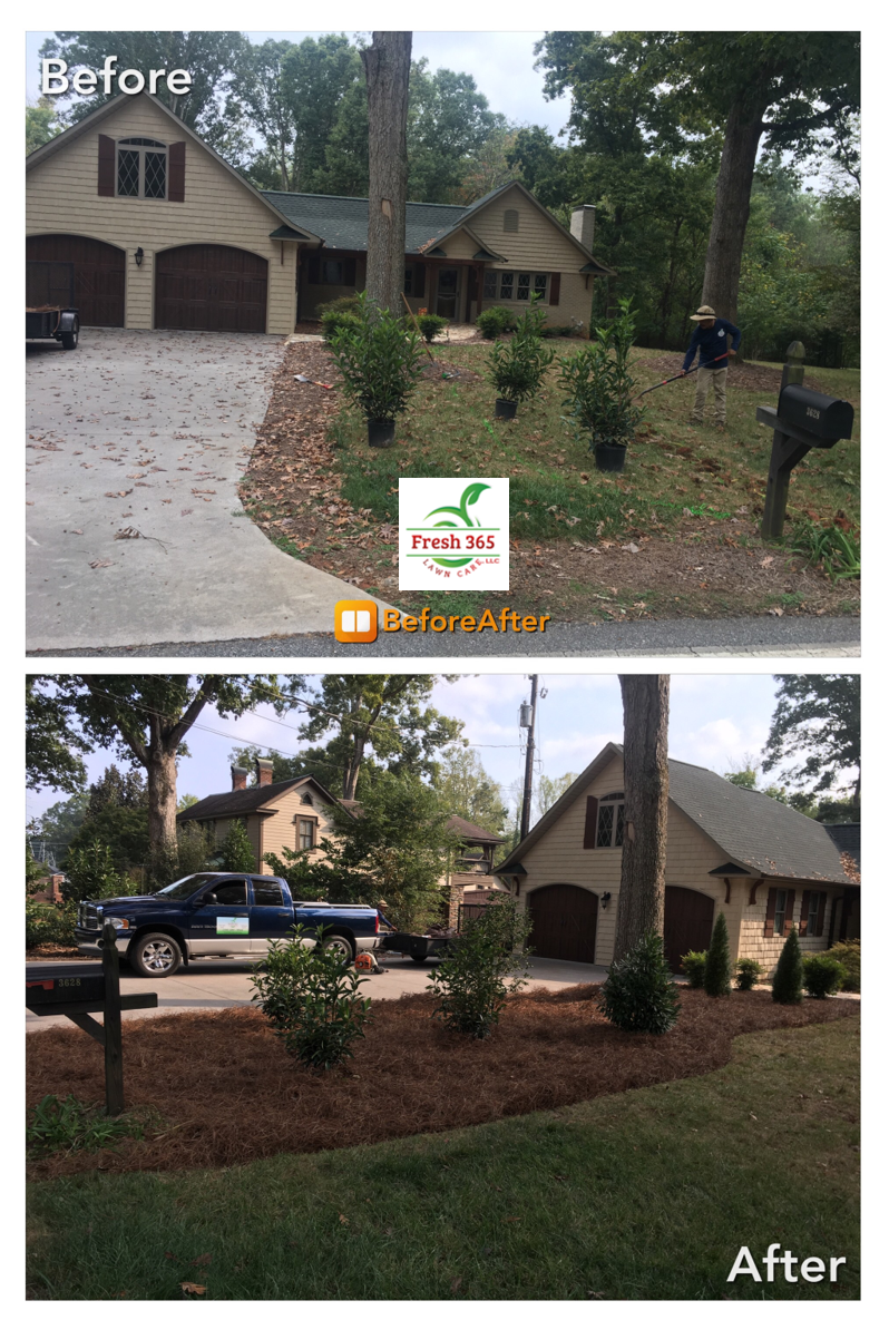 Pine needle installation before and after service image near the driveway