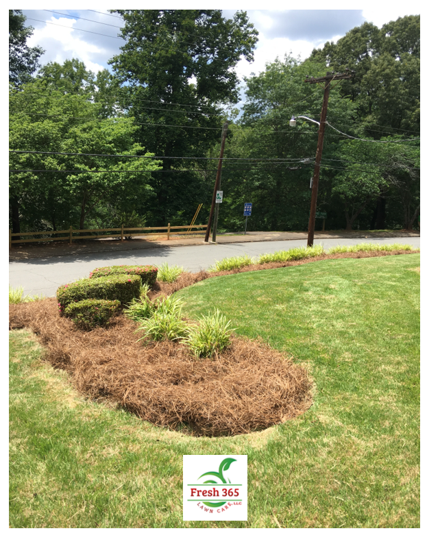 Pine needle delivery and installation