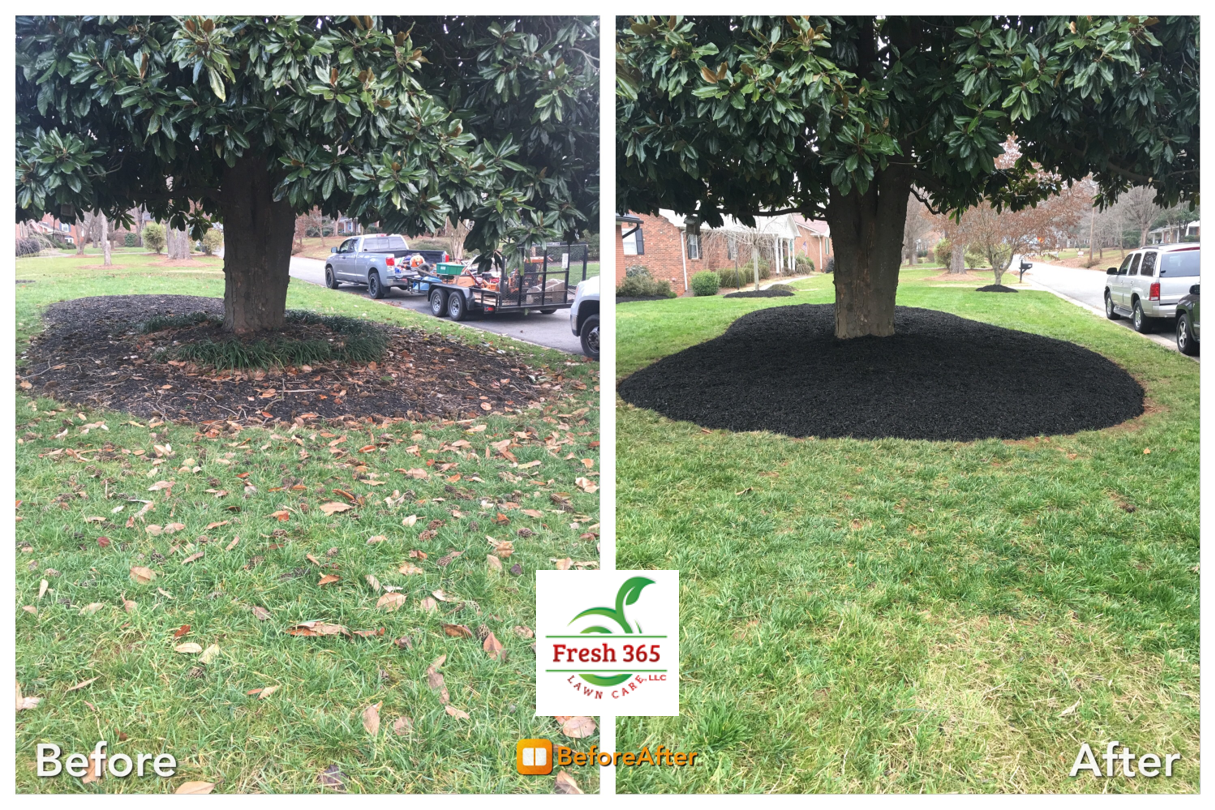 Mulch installation around a tree before and after service image