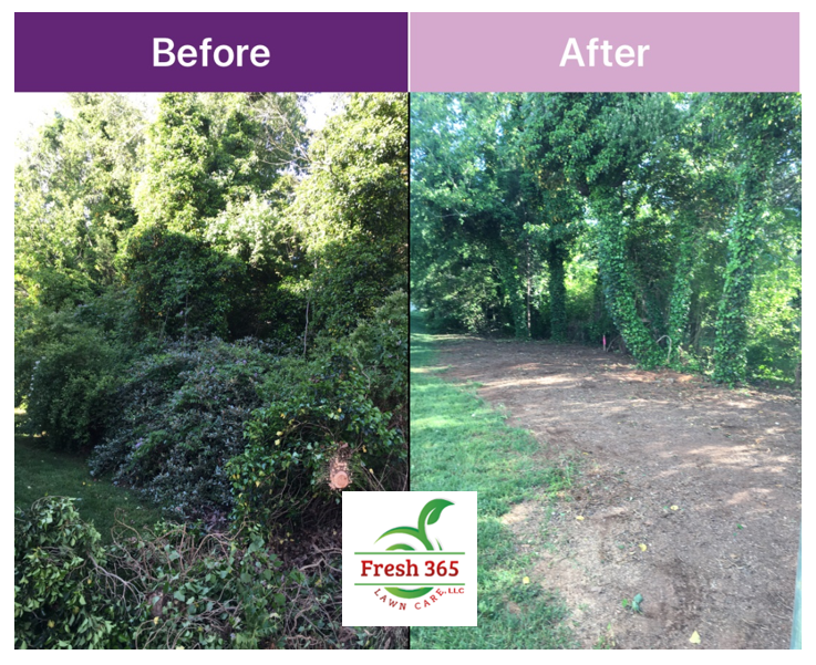 Land clean up and clearance before and after image