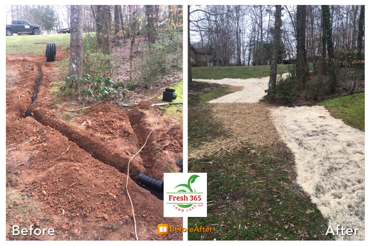 French drain installation before and after service image