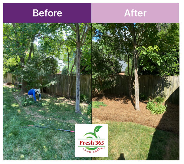Pine needle delivery, installation, and landscaping before and after service image