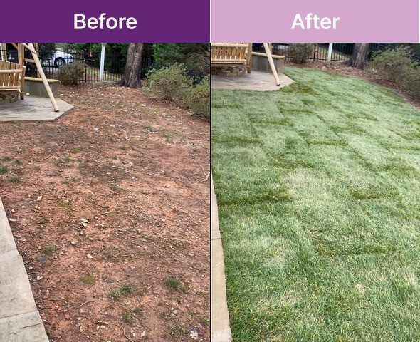 Sod installation before and after landscaping image