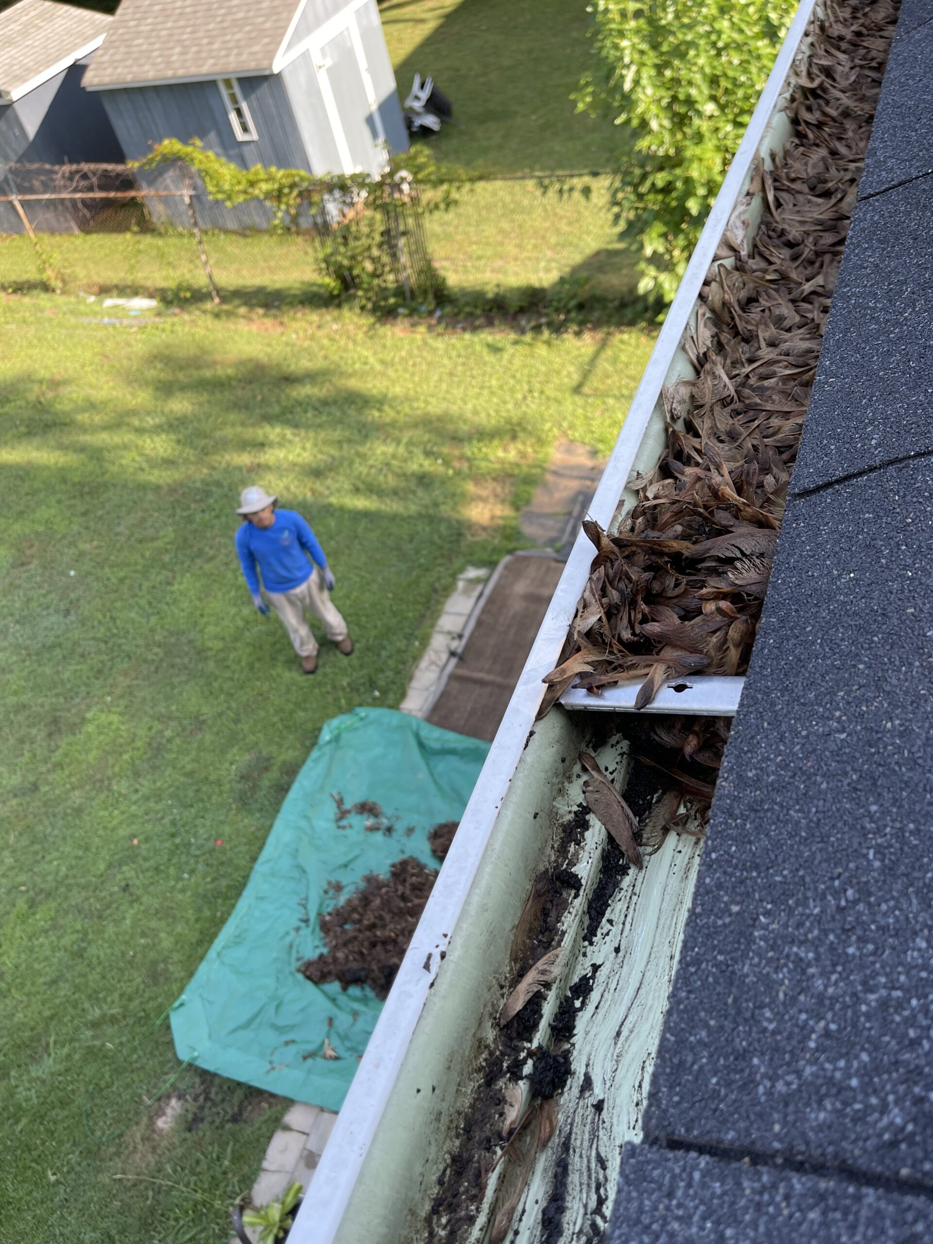 IMG-1651 - Fresh 365 Lawn Care, LLC