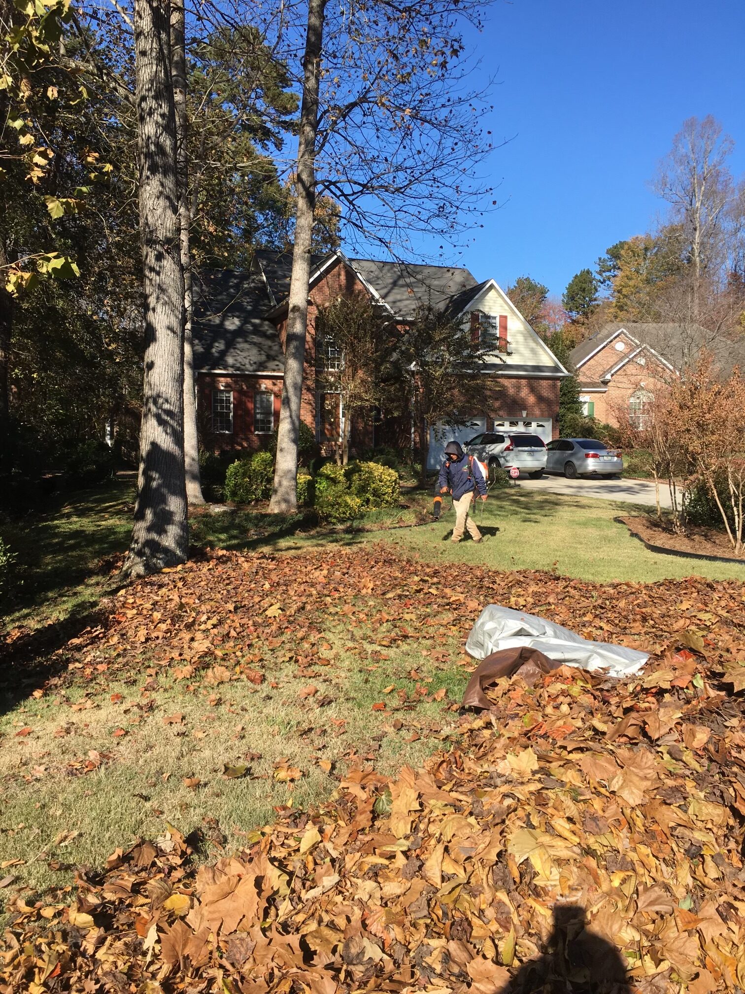 7F4436D6-4C3C-484C-A580-D0AA41E9B624 - Fresh 365 Lawn Care, LLC