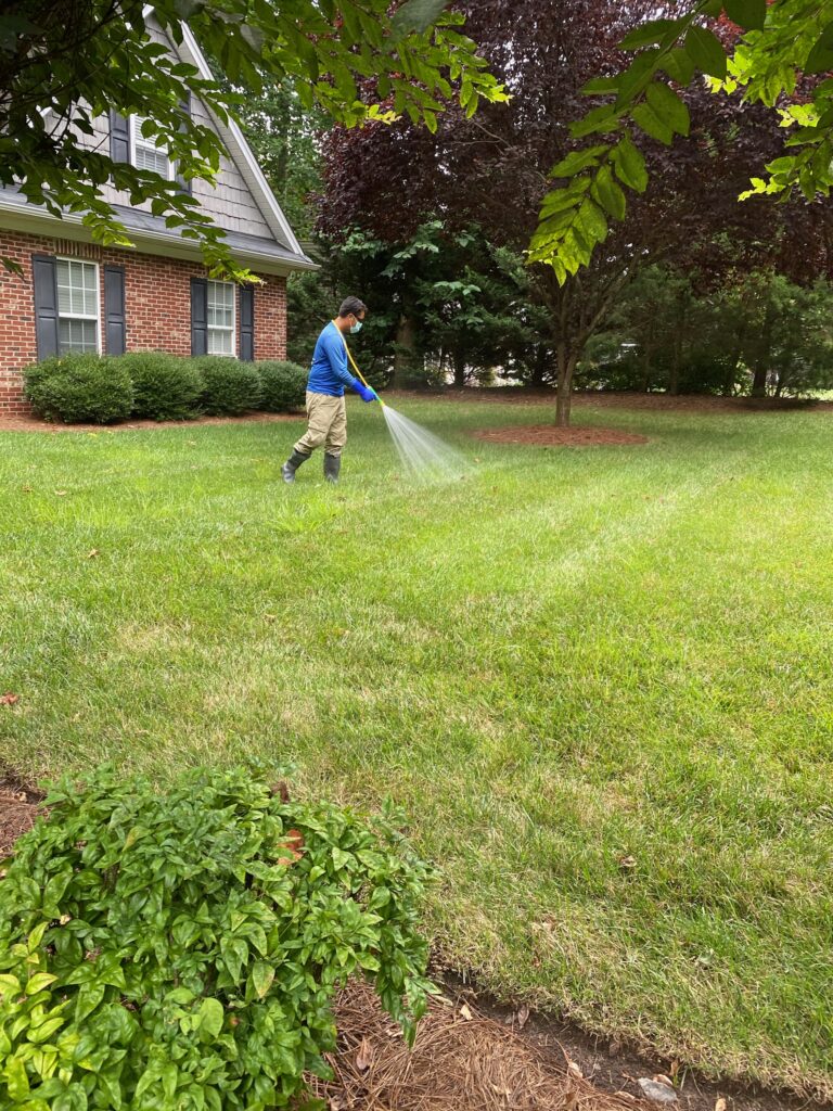 IMG-0215 - Fresh 365 Lawn Care, LLC