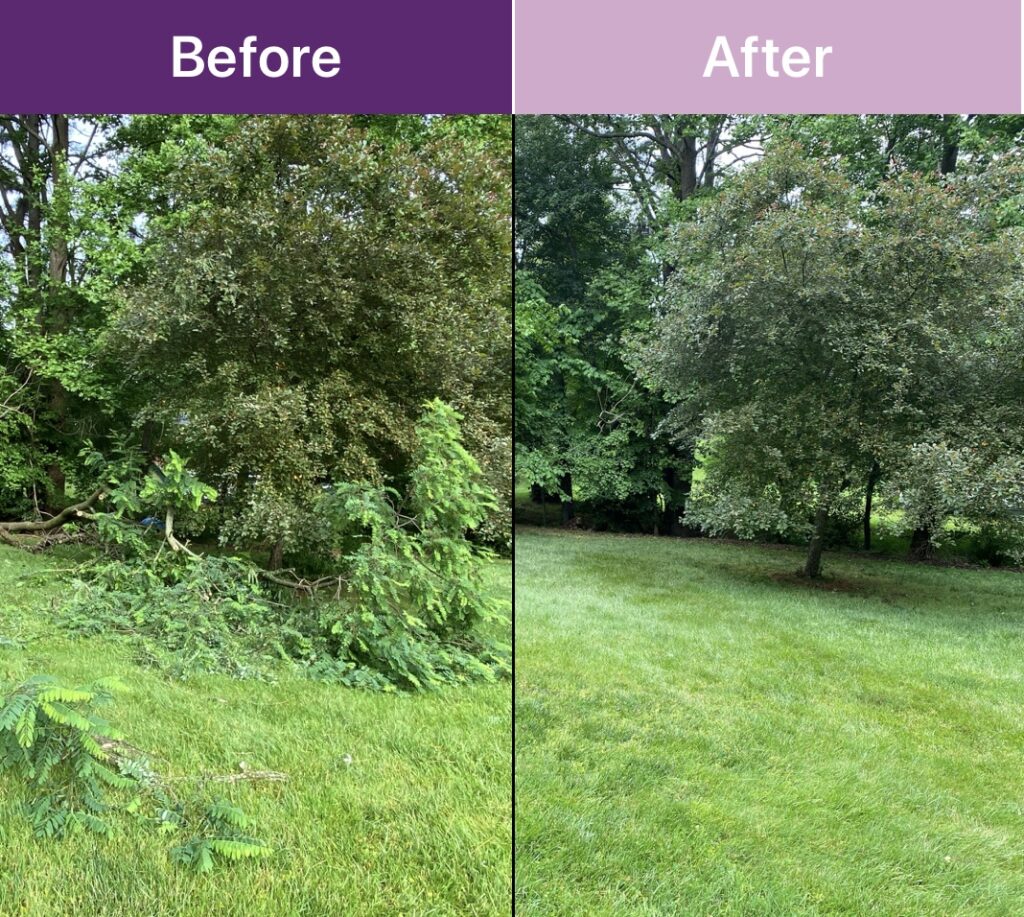 IMG_2328 - Fresh 365 Lawn Care, LLC