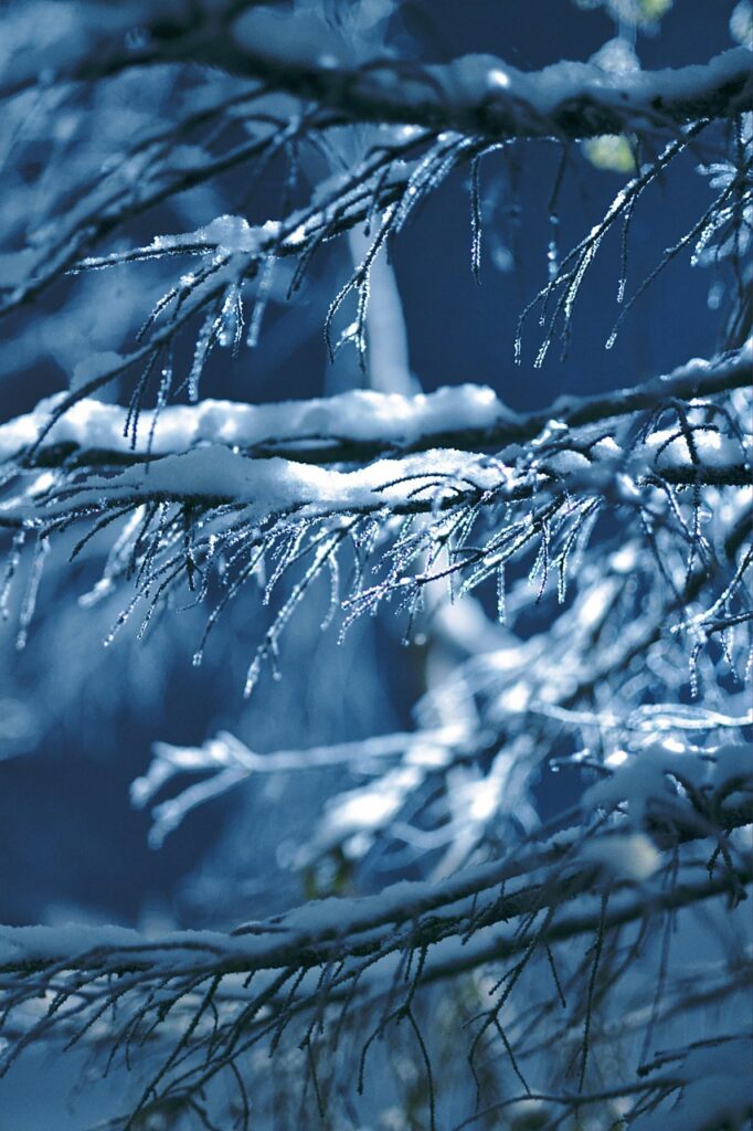 nature-icicles-snow-6811404 - Fresh 365 Lawn Care, LLC nature, icicles, snow-6811404.jpg